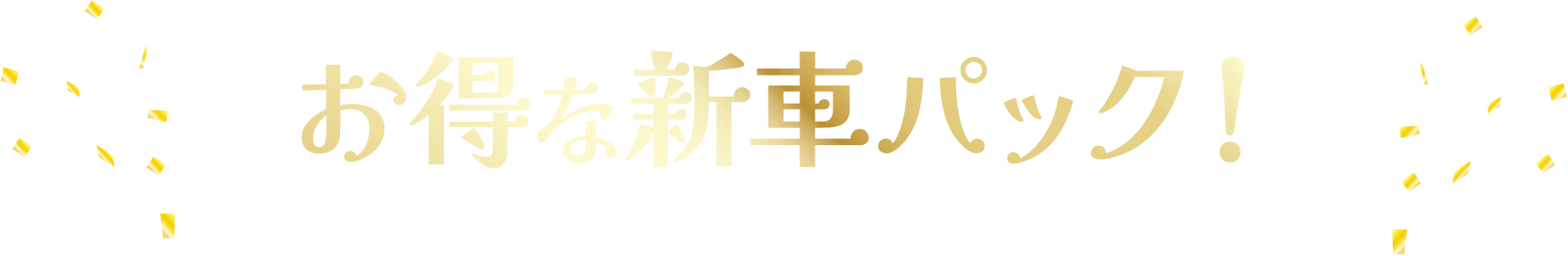 お得な新車パック！